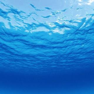 Deep underwater wallpaper