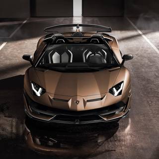 Lamborghini SVJ wallpaper