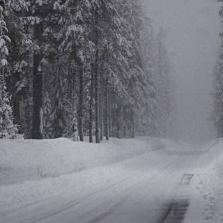 Winter road wallpaper