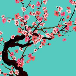 Arizona green tea wallpaper