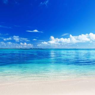 Blue skies wallpaper