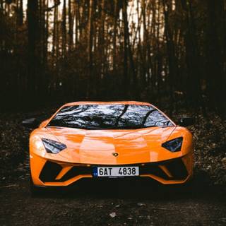 Orange Lamborghini Aventador supercar wallpaper