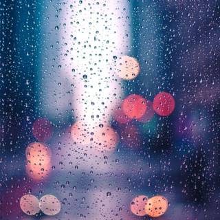 Romantic photography wallpaper