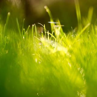 Green LCD Android wallpaper