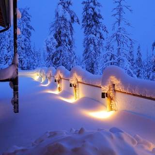 HD nature winter wallpaper