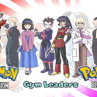 Pokemon Gym Leader wallpaper