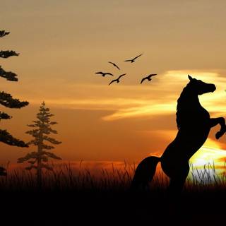 Computer horse HD wallpaper