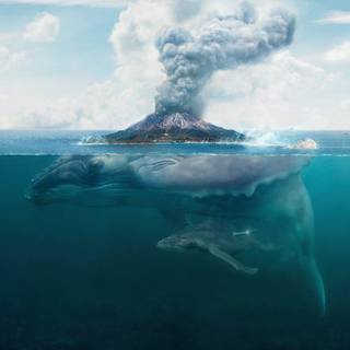 Fantasy journey wallpaper