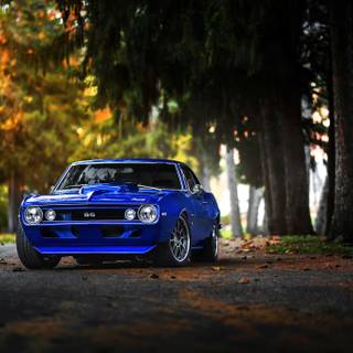 All American Chevy wallpaper