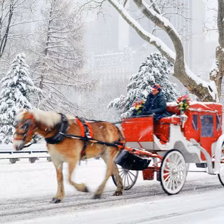 Christmas Central Park wallpaper