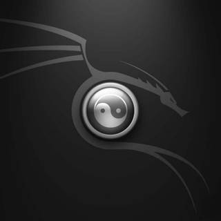 Cool dragons symbols wallpaper