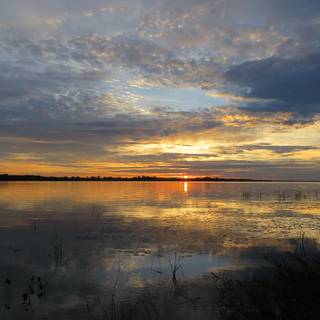 Fin Greenall wallpaper