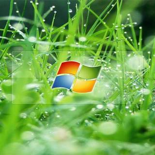 Fin Greenall wallpaper