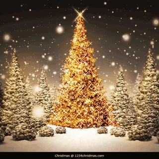 Bing Christmas tree wallpaper