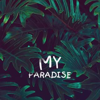 Rolex Tumblr wallpaper