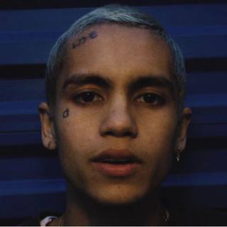 Dominic Fike Tumblr wallpaper