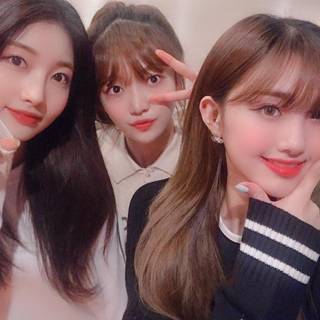 Aisha Everglow wallpaper