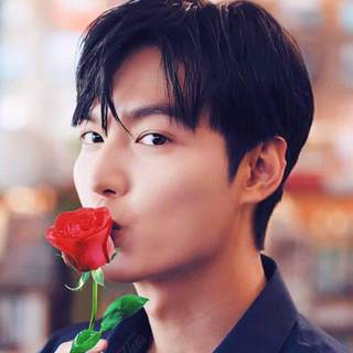 Lee Min Ho Android wallpaper