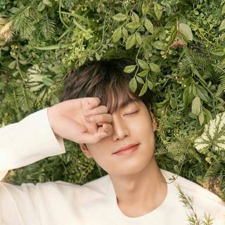 Lee Min Ho Android wallpaper