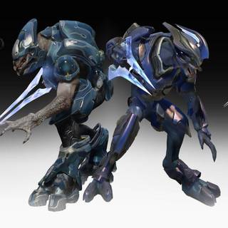 Halo Elites wallpaper