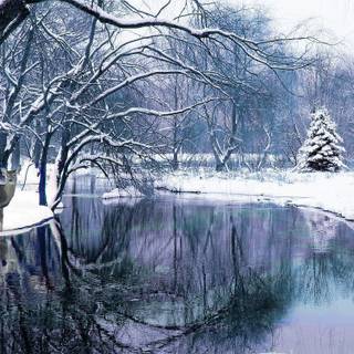 Winter scenery pictures wallpaper