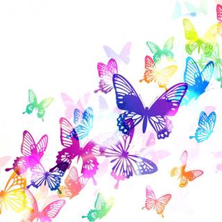 Rainbow butterfly wallpaper
