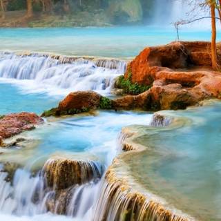 Natural beauty phone wallpaper