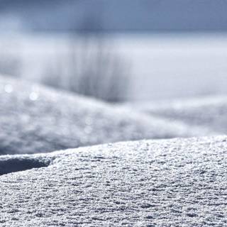 Winter backyard wallpaper