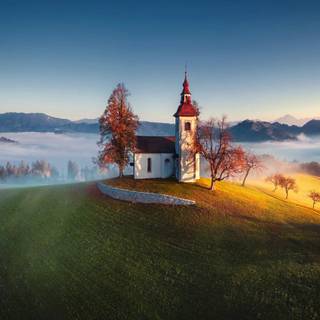 Church forest wallpaper