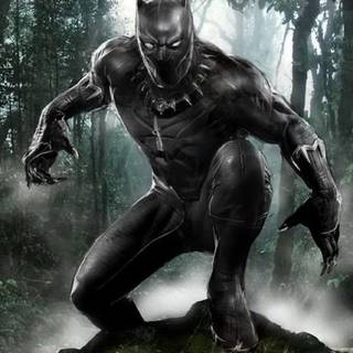 Black Panther Full HD Mobile wallpaper
