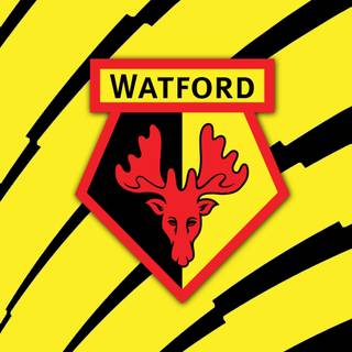 Watford mobile wallpaper