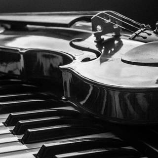 Violin photography wallpaper
