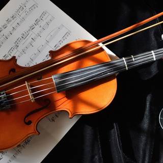 Violin photography wallpaper