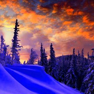 Merry Christmas dual screen wallpaper