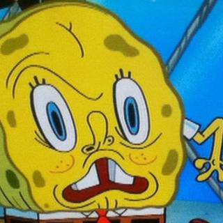 SpongeBob meme wallpaper