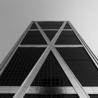 Flora triangle wallpaper