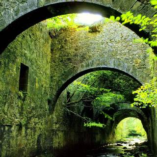 Nature architecture wallpaper