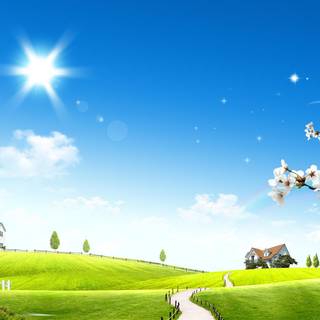 Bright desktop wallpaper