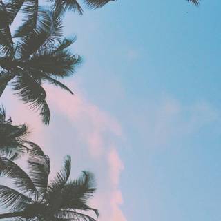 iPhone tumblr wallpaper