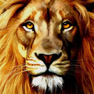 Lion face wallpaper