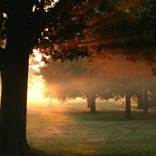 Sunrise view wallpaper