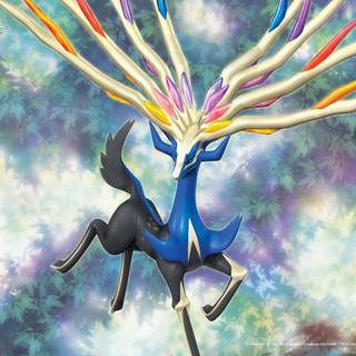 Pokémon card game wallpaper