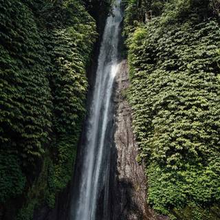 Brazil climate wallpaper