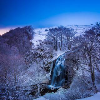 HD winter nature wallpaper