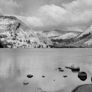 Nature black Android wallpaper