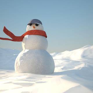 Winter real snowmen wallpaper