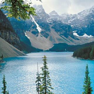 Christmas mountain view wallpaper