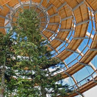 Bavarian Forest National Park wallpaper