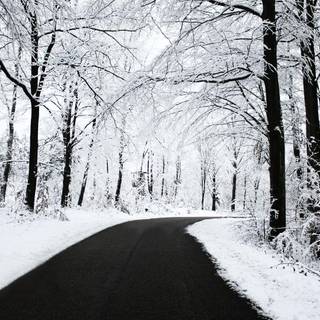 Snowy road winter landscape wallpaper
