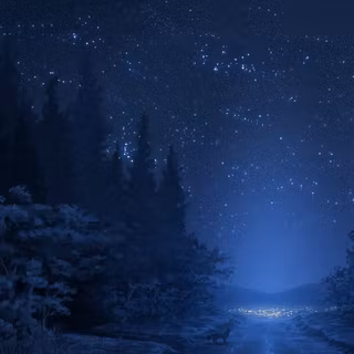 Night winter forest wallpaper